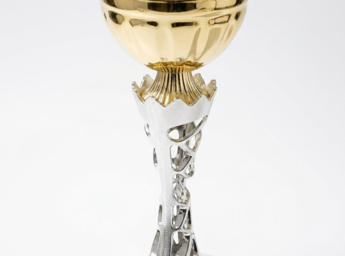 trophée 🏆