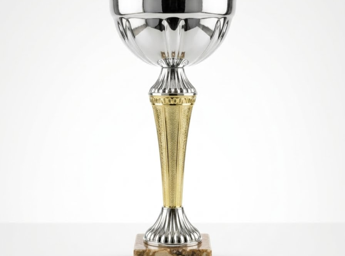 trophée 🏆