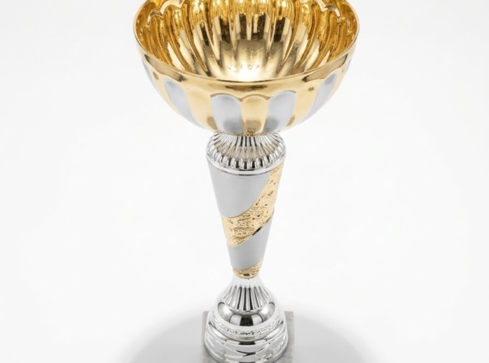 Trophée 🏆
