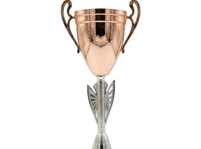 Trophée 🏆